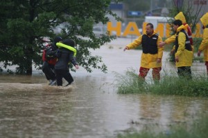 Read more about the article Црвени крст Војводине позива предузећа и компаније које могу да помогну